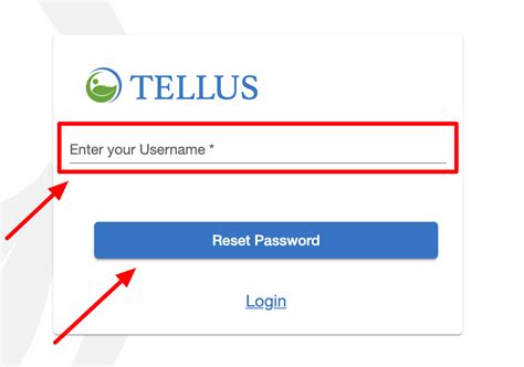 evv dashboard 4tellus.